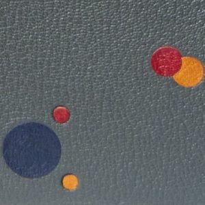 Zoom reliure : disques multicolores de différentes tailles bleu, rouge et jaune