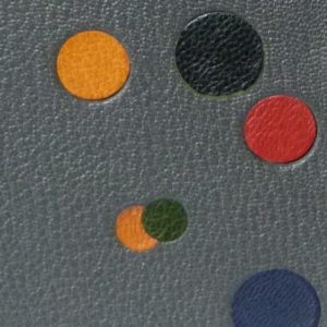 Zoom reliure : disques multicolores de différentes tailles bleu, rouge, vert, jaune et noir