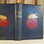 La vie des insectes de J. H. Fabre