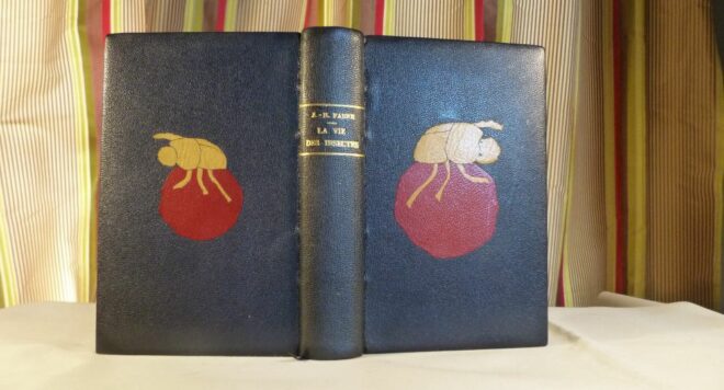 La vie des insectes de J. H. Fabre