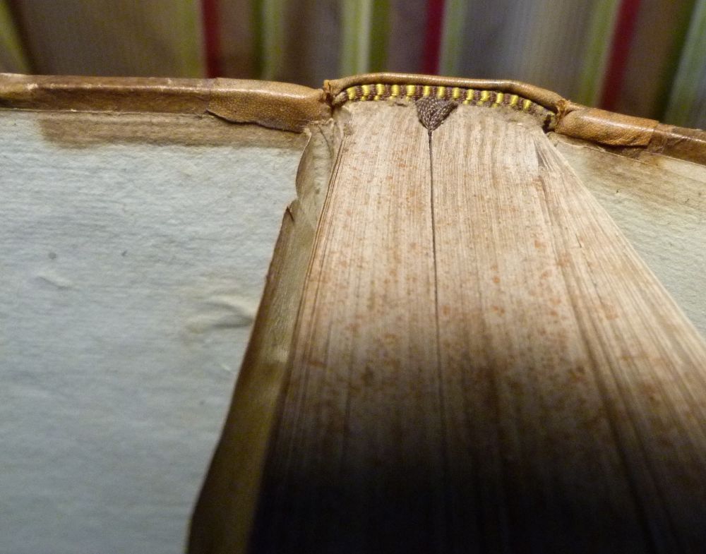 Géométrie de O. Terquem