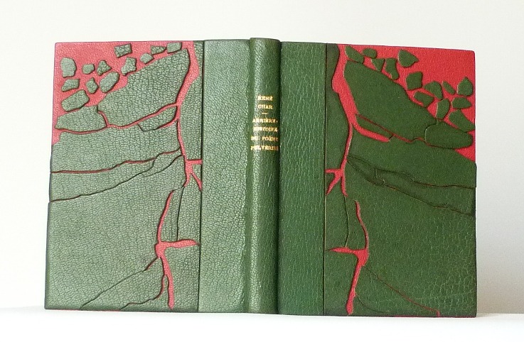 Arrière-histoire du Poème pulvérisé, demi-cuir vert, décor représentant la débacle de la banquise en vert sur un fond rouge.
