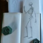 anatomie-artistique-fau-livre (3)