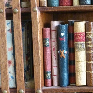 Mini-livres de mini-bibliothéque, détails