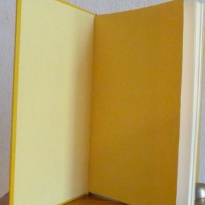Plein cuir jaune avec mosaïques de cuir jaune d'antérieur de patte d'autruche