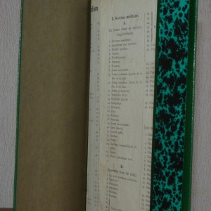 Demi-cuir vert à bandes, papier Annonay vert,chemise incluse dans la boite contenant des dépliants sur le corps humain.