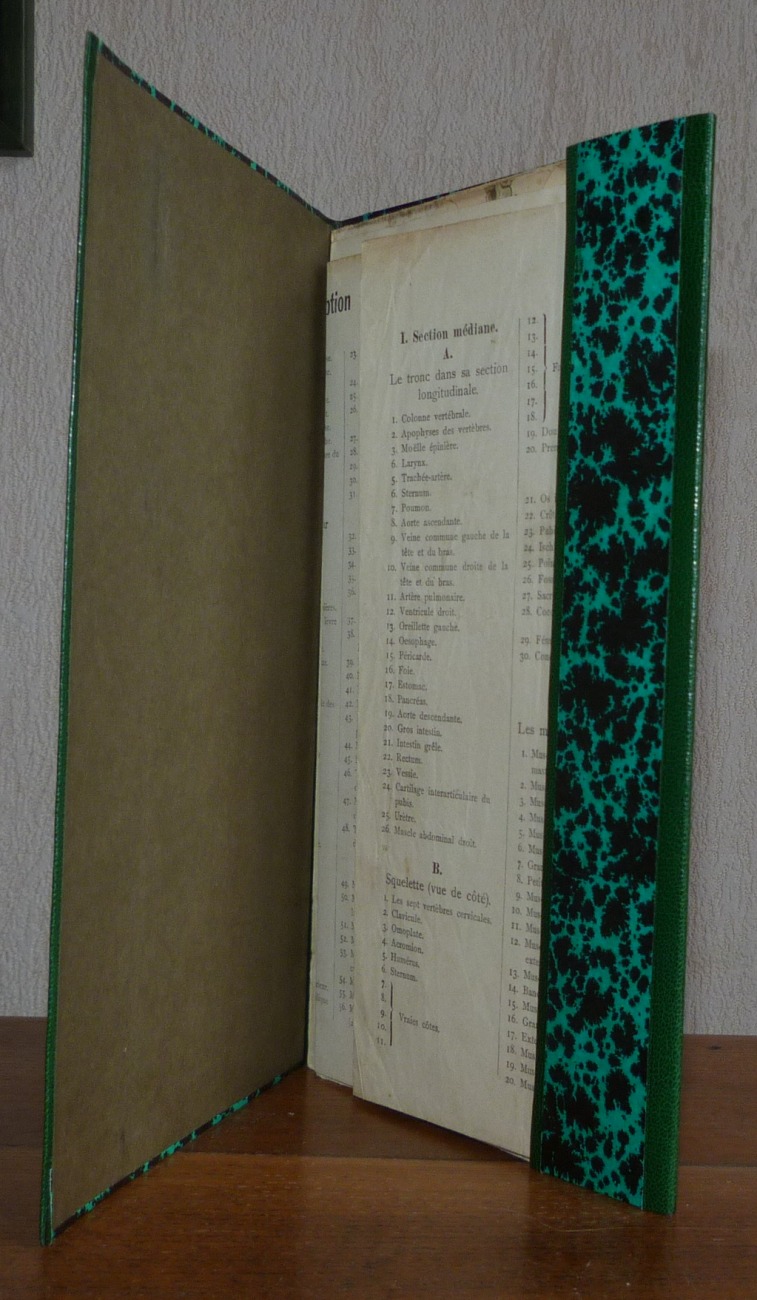 Demi-cuir vert à bandes, papier Annonay vert,chemise incluse dans la boite contenant des dépliants sur le corps humain.