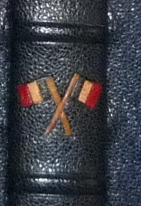 Drapeaux Français entre 2 nerfs. Plein cuir bleu de cet ouvrage patriotique, titre, mosaïque, tranchefile et gardes tricolores (bleu-blanc-rouge)