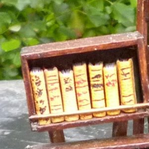 Mini-livres jaunes. Mini-bibliothèque en balsa sur pilotis. Chaque élement regroupe des livres de même nature, en général : couleur.