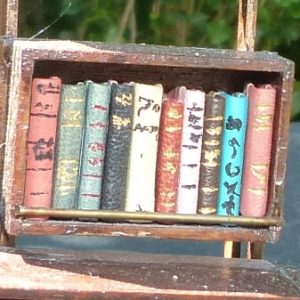 Mini-livres variés. Mini-bibliothèque en balsa sur pilotis. Chaque élement regroupe des livres de même nature, en général : couleur.
