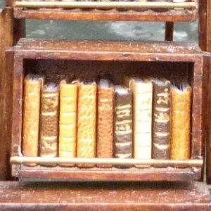 Mini-livres marrons-Mini-bibliothèque en balsa sur pilotis. Chaque élement regroupe des livres de même nature, en général : couleur.