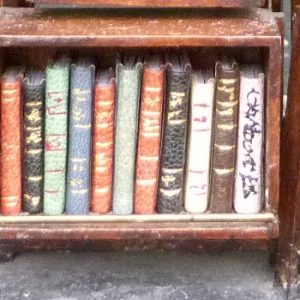 Mini-livres variés-Mini-bibliothèque en balsa sur pilotis. Chaque élement regroupe des livres de même nature, en général : couleur.