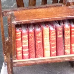 Mini-livres rouges.Mini-bibliothèque en balsa sur pilotis. Chaque élement regroupe des livres de même nature, en général : couleur.