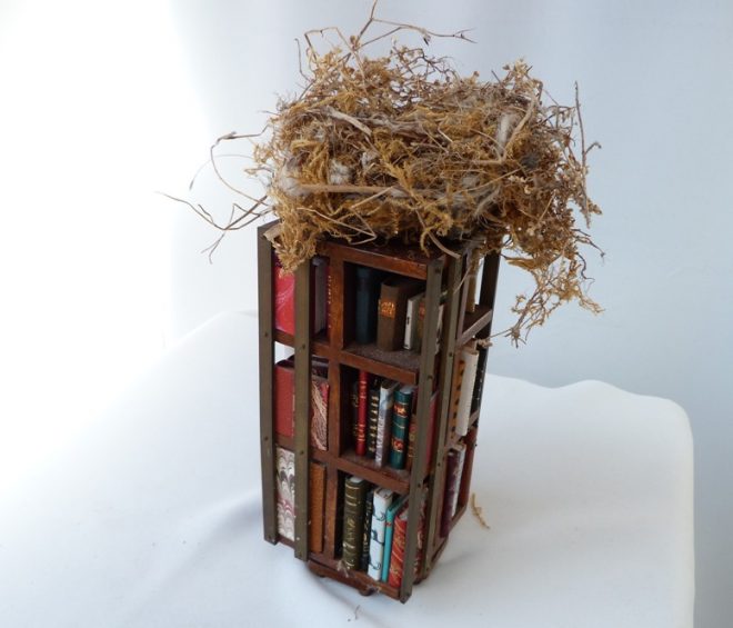 Mini bibliothèque surmontée d'un nid de verdier