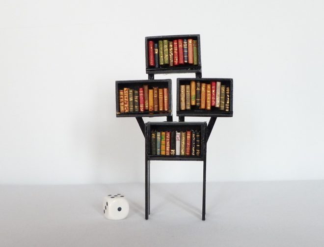 Mini-bibliothèque contenant 39 livres avec un dé au sol.