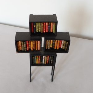Mini-bibliothèque contenant 39 livres vue légerement du dessus