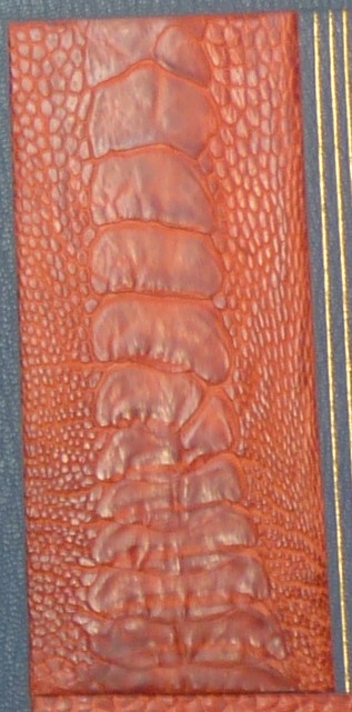 base de patte d'autruche rouge, détail de la patte