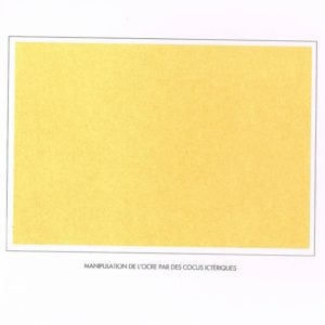 album primo-avrilesque : jaune