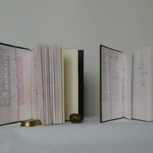 Carnets de notes (1993-1994) : notes