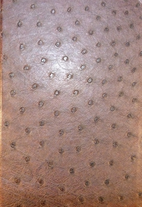 Carnets de notes (2004-2005), type de reliure en peau d'autruche.