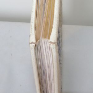 Carnets de notes (1994-1995), défaut de la basane blanche.