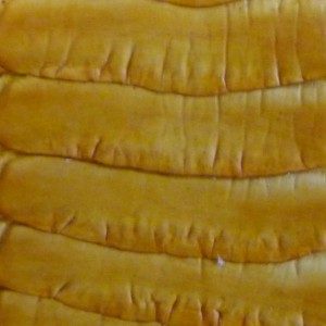 Carnet jaune à la patte d'autruche, détail