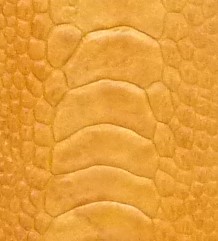 Carnet jaune à la patte d'autruche, detail.