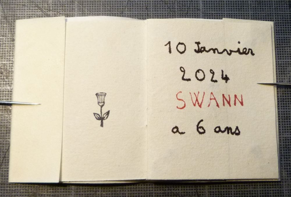 Carnet minuscule : Swann