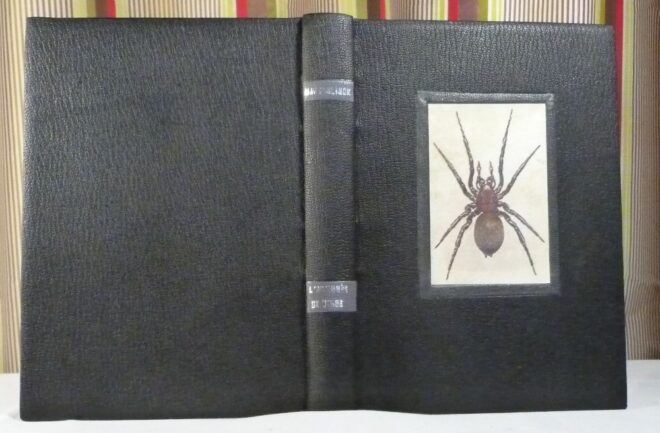 L'araignée de verre de Maurice Maeterlinck