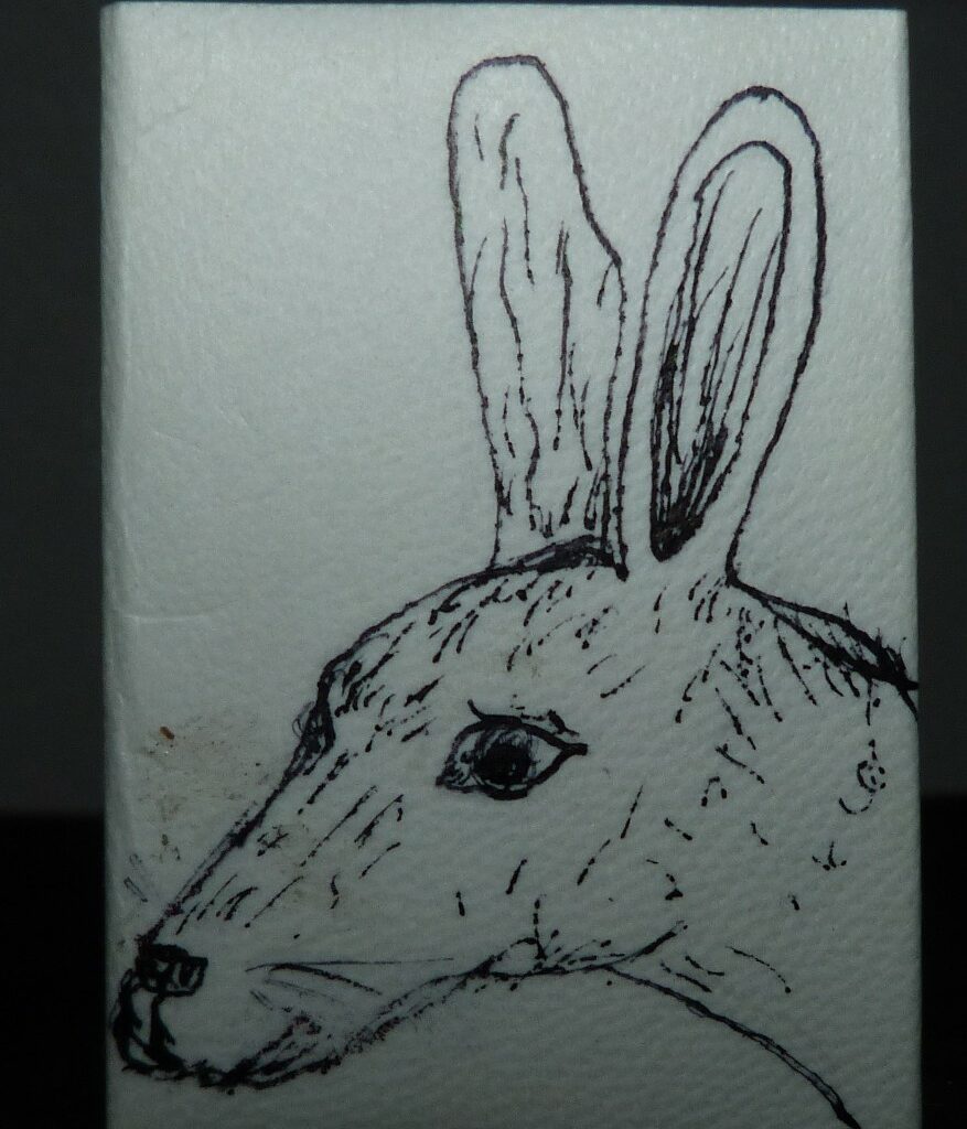 Fanch Mamer : cuvée 2025