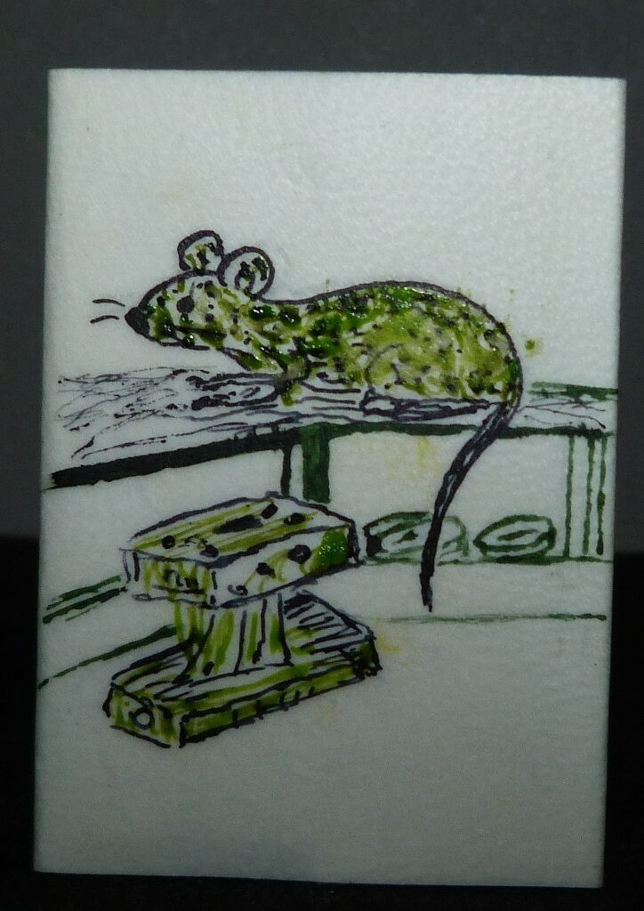 Fanch Mamer : cuvée 2025